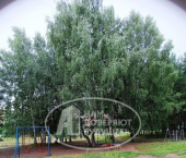 3-комн, 60кв м, этаж 3/5 ул Ленина, 41