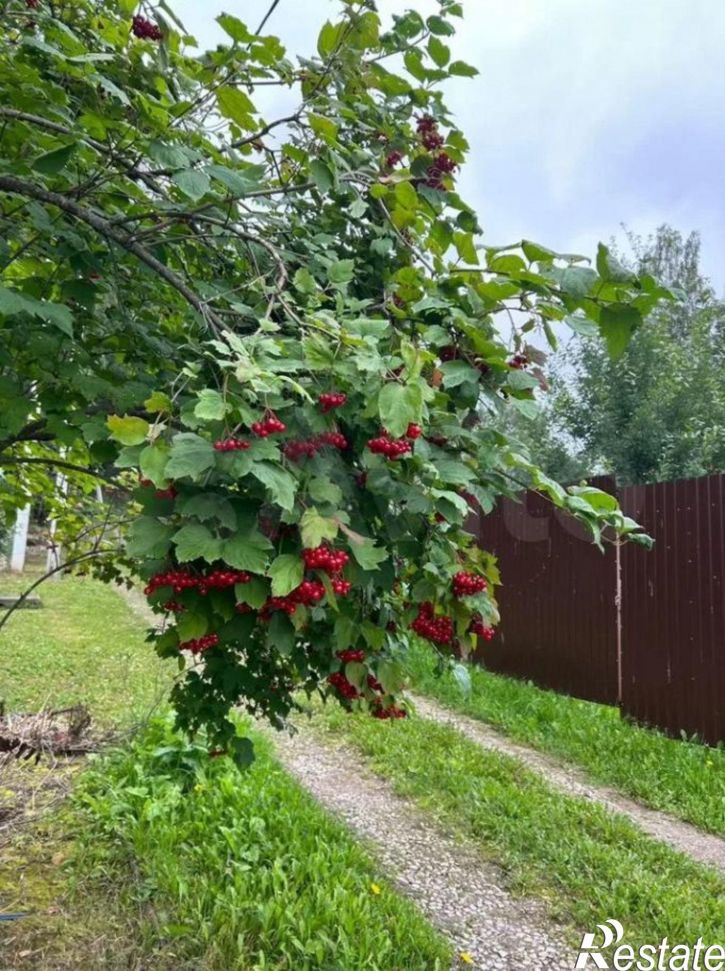Земельный участок Пермский муниципальный округ