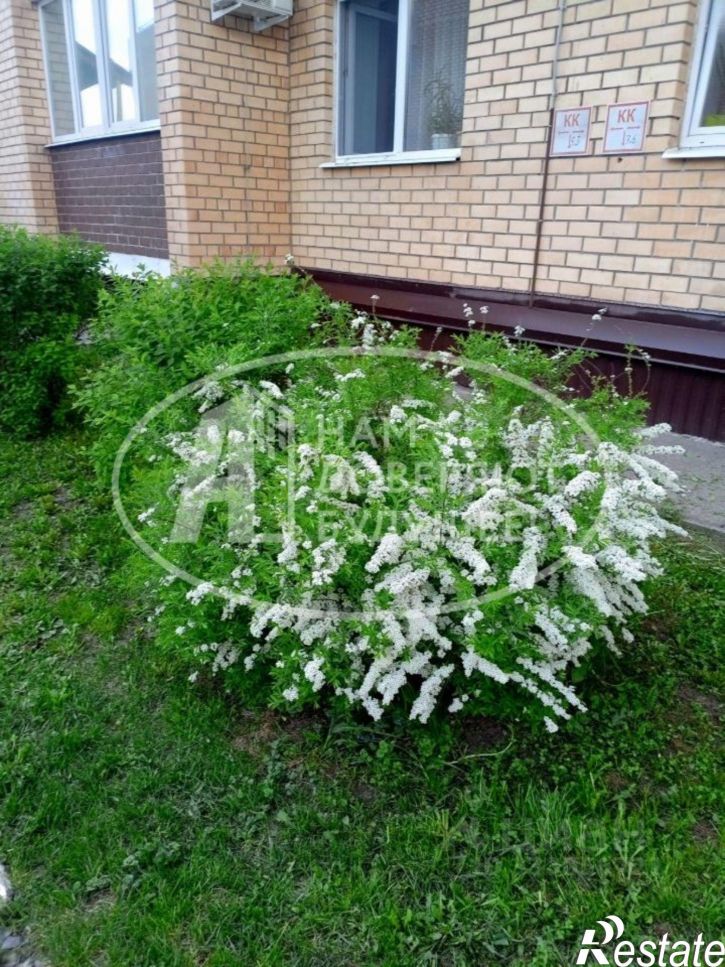 1-комн квартира городской округ Пермь, Пермь