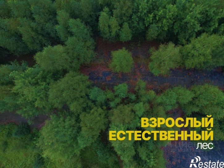 Земельный участок ул Советская, 14,  д. 14