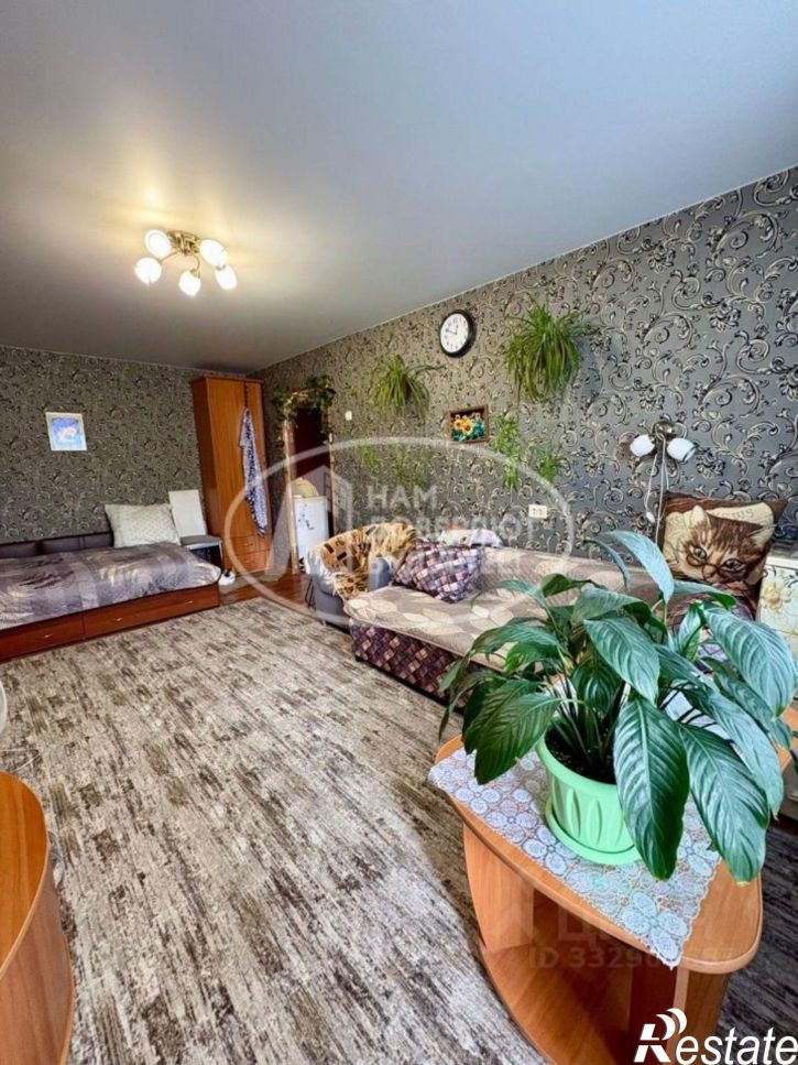 1-комн квартира ул Чапаева, 21/2,  д. 21/2