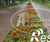 2-комн, 46кв м, этаж 1/5 переулок Строителей, 3Б