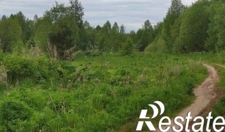 Земельный участок деревня Щелканы